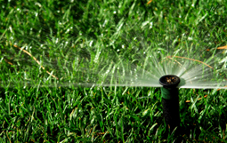 Irrigation Services